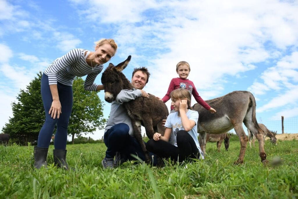 opg plasc farma magaraca bjelovar